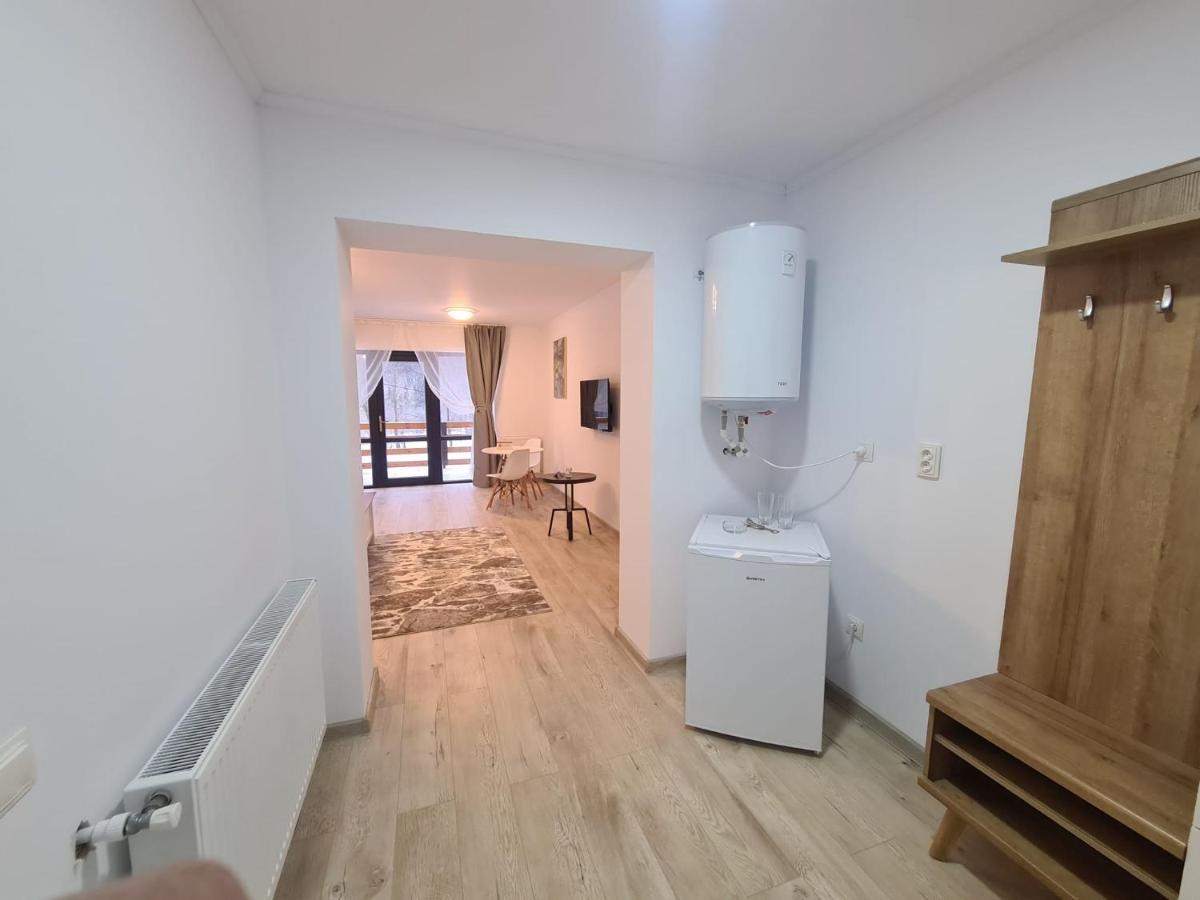 Yael Luxury Apartments 4 Busteni Bagian luar foto